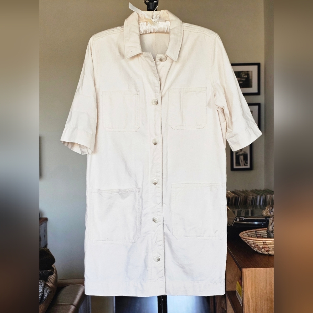 Everlane Canvas Chore Mini Dress